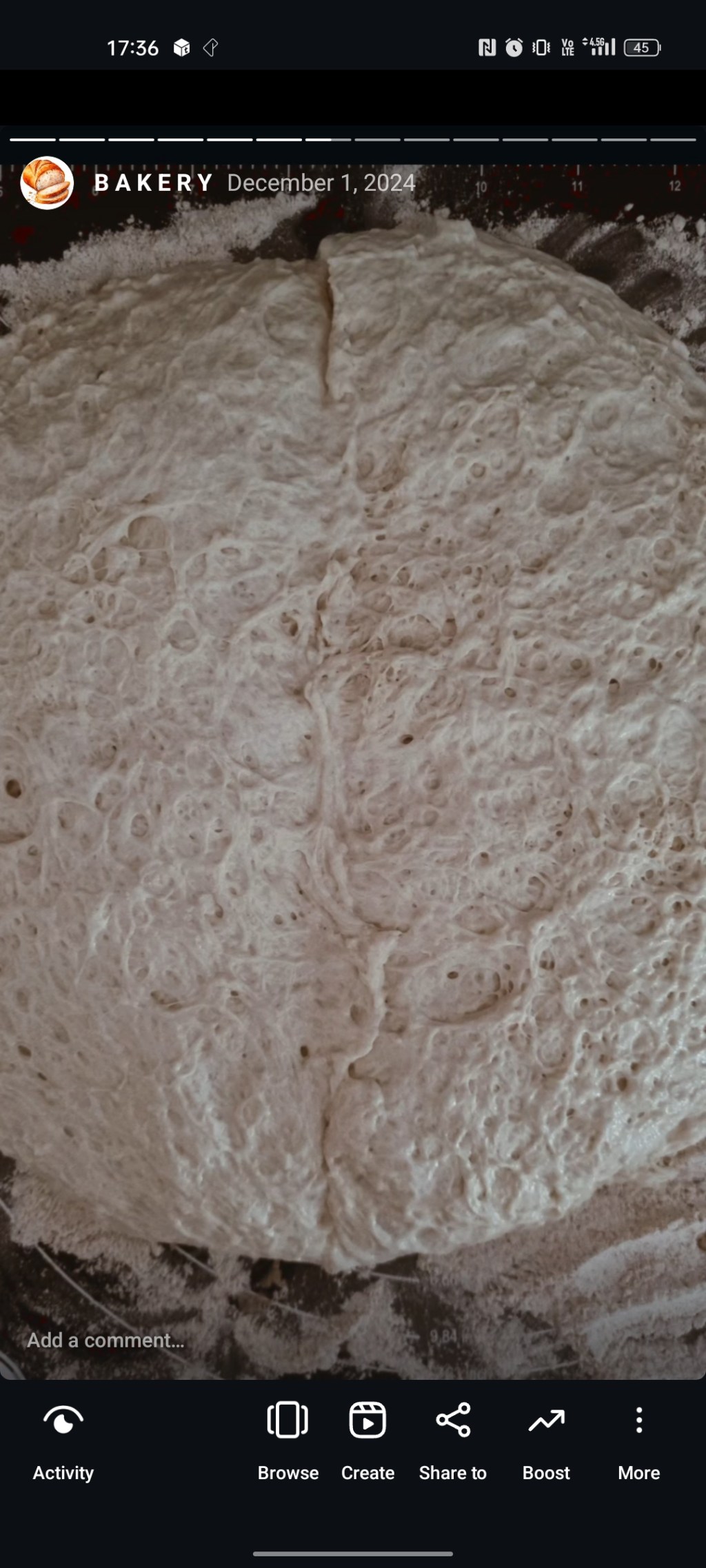 Ekşi Maya Günlüğüm       01 – Starter&nbsp;Oranları